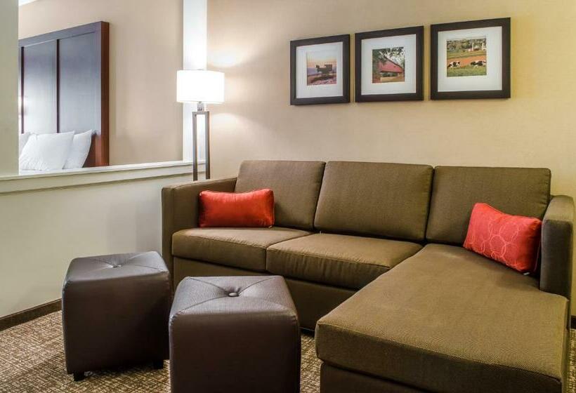 Люкс, Comfort Suites Manheim Lancaster