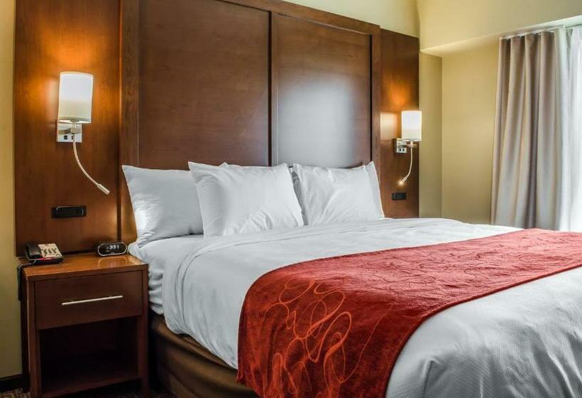 带大床的套房, Comfort Suites Manheim   Lancaster