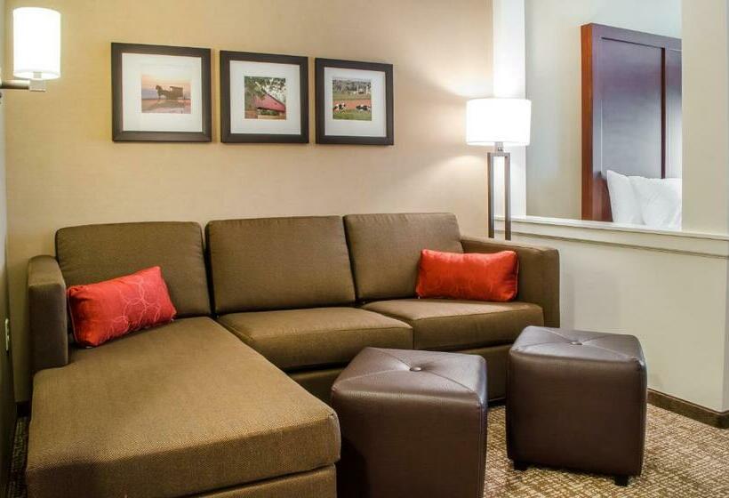 Люкс Кровать Кинг, Comfort Suites Manheim Lancaster