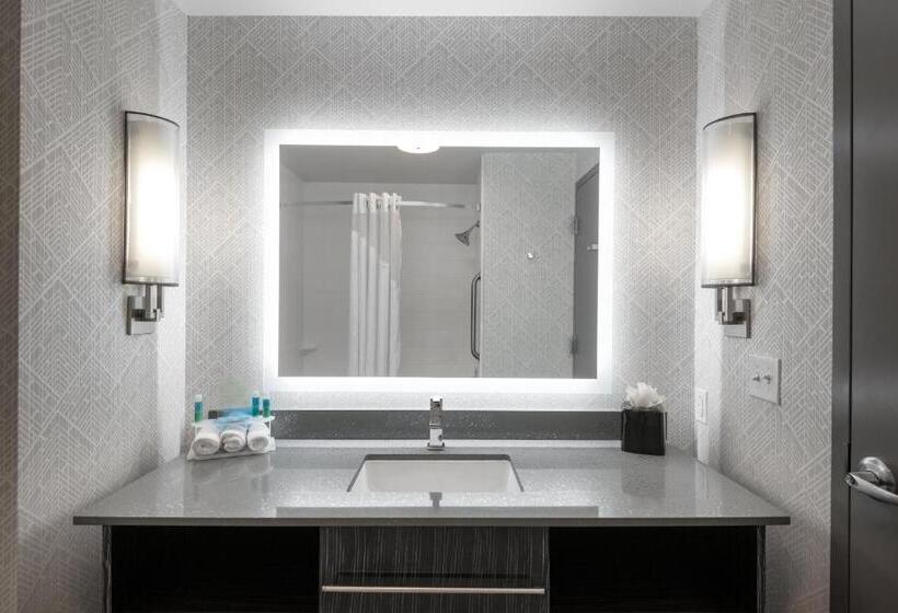 Номер Стандарт Кровать Кинг Адаптированный для Инвалидов, Holiday Inn Express & Suites   Charlotte Airport, An Ihg