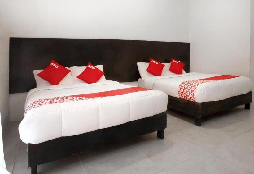 Номер Стандарт, Maria Otilia Falla