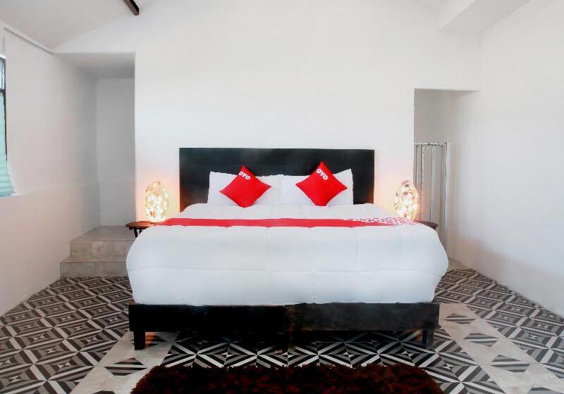 Номер Superior, Maria Otilia Falla