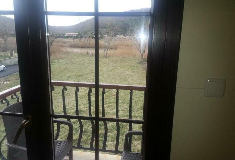 اتاق استاندارد, Velena