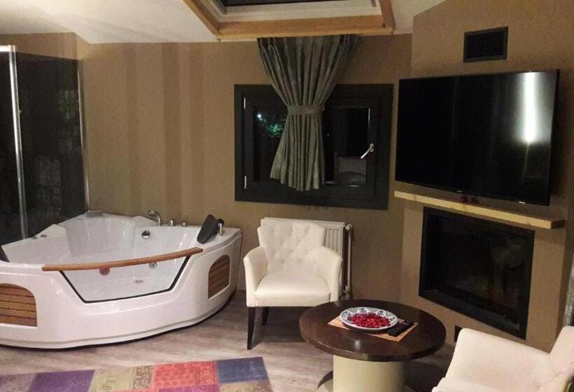 اتاق لوکس با چشمانداز دریا, Velena