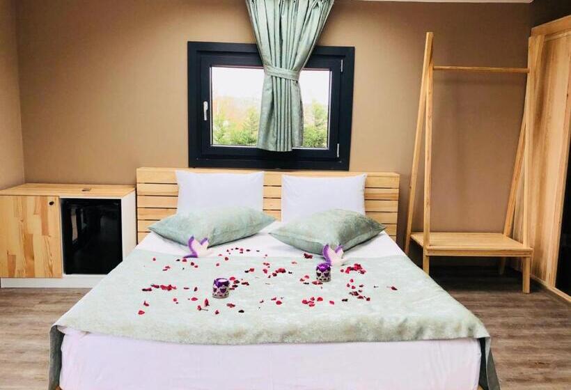 اتاق لوکس با چشمانداز دریا, Velena