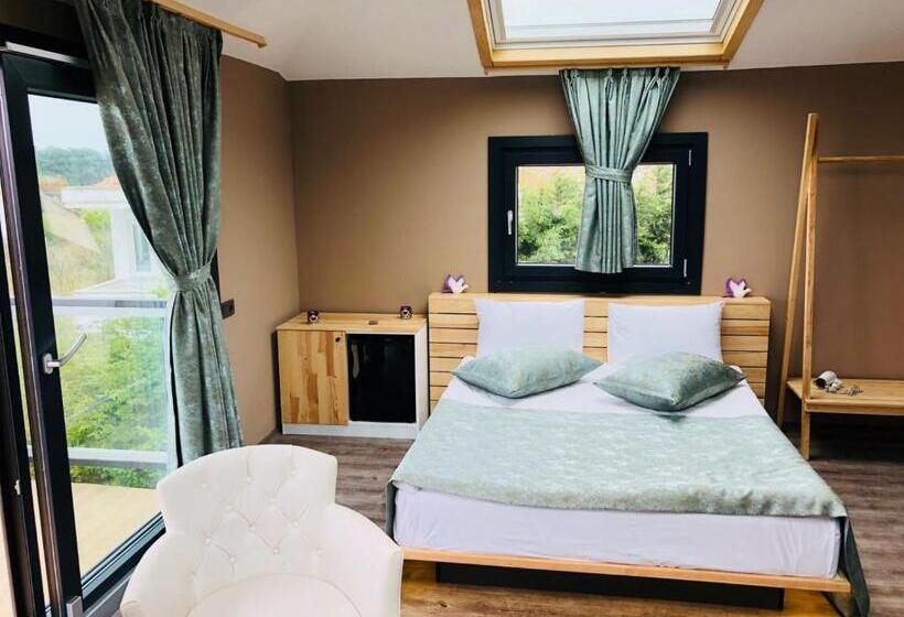 اتاق لوکس با چشمانداز دریا, Velena