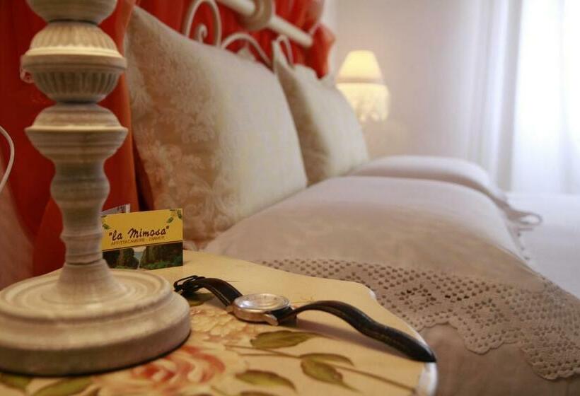 标准间, La Mimosa