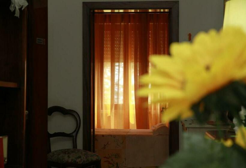 标准间, La Mimosa