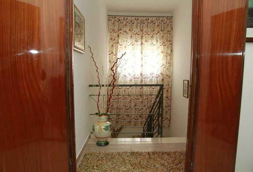 Номер Стандарт, La Mimosa