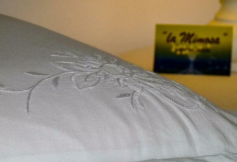 标准间, La Mimosa