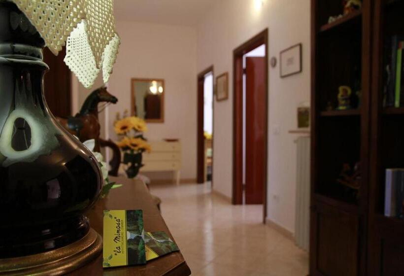 基本间, La Mimosa