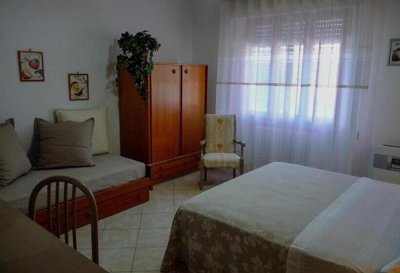 标准三人间, La Mimosa