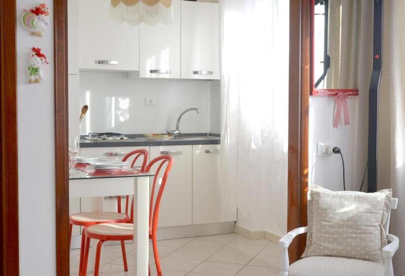 标准工作室, La Mimosa