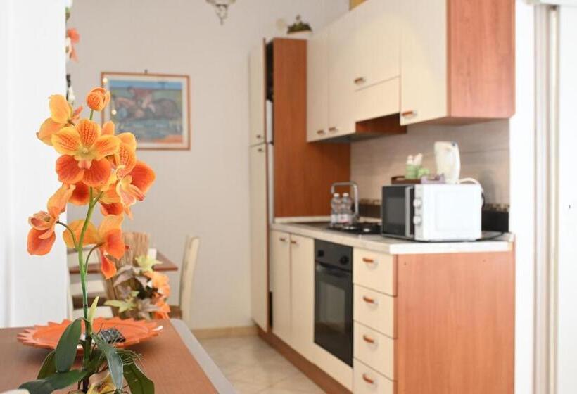 标准工作室, La Mimosa