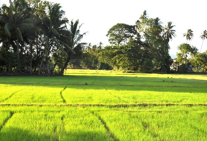 Трехместный Номер Deluxe Вид на Сад, Nature Resort   Yala Safari Village