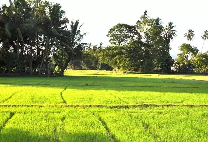デラックスファミリールーム, Nature Resort Yala Safari Village