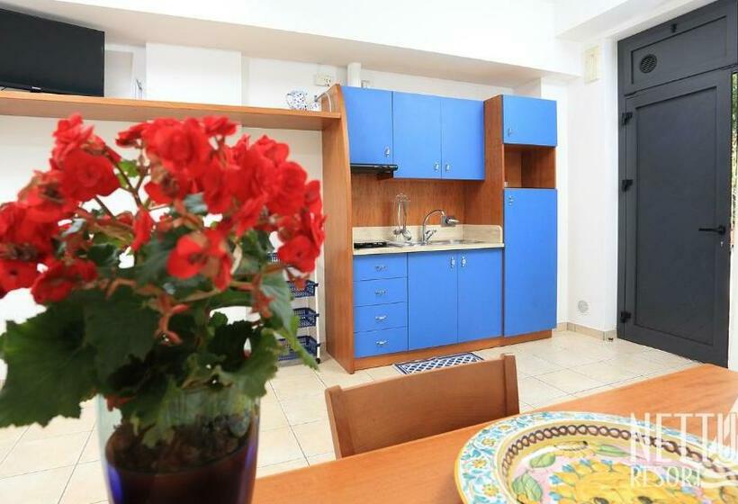 استودیو استاندارد با چشم‌انداز باغ, Nettuno Resort