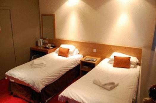 스탠다드 룸, The Titan