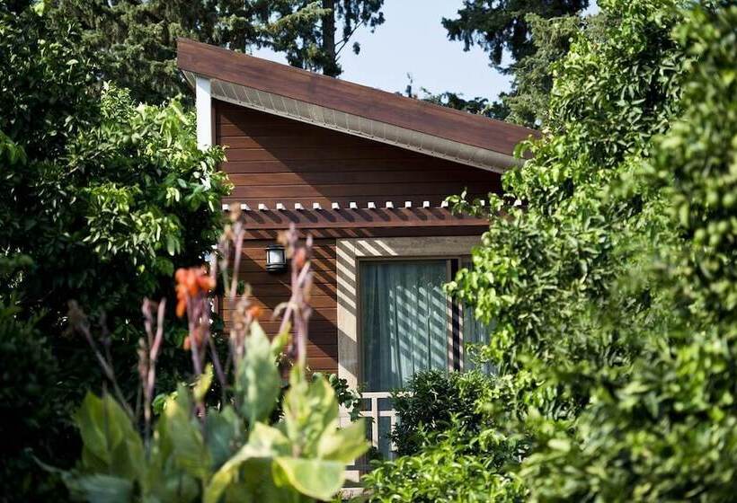 Quarto Estandar, Kimera Lounge Boutique Hotel & Spa