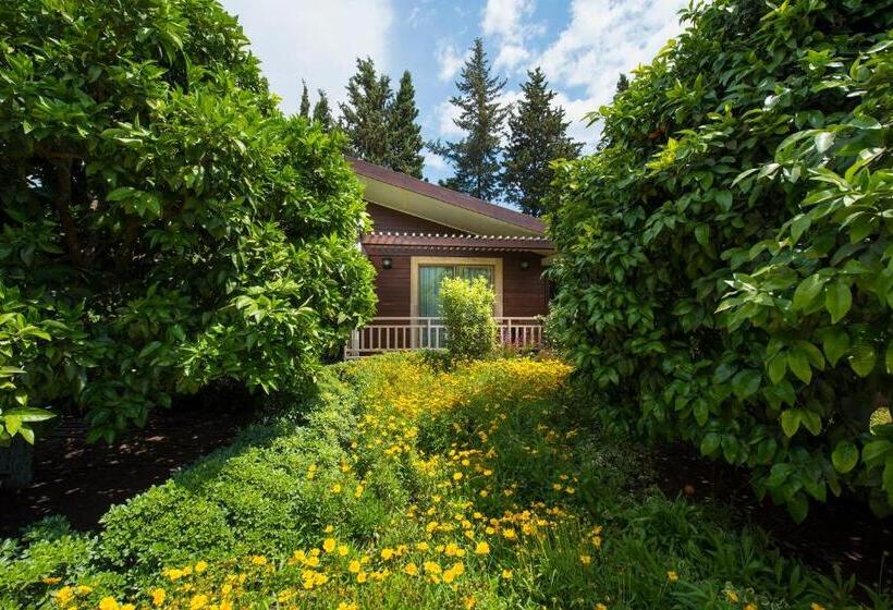 Quarto Estandar, Kimera Lounge Boutique Hotel & Spa