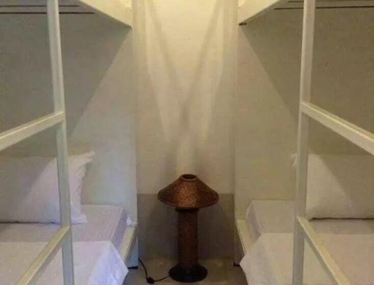 ルームシェアのワンベッド, The Best Hostel