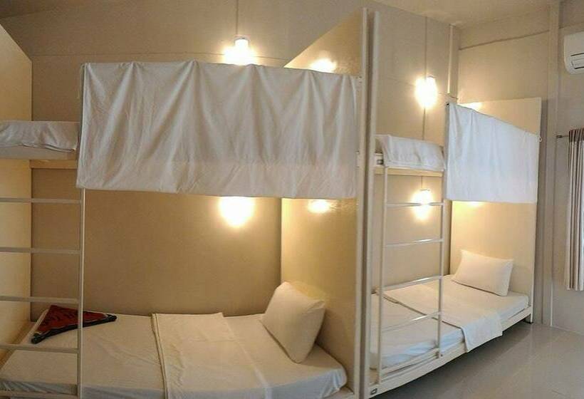 共用房间的床, The Best Hostel