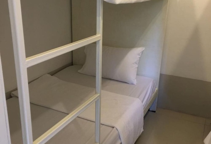 共用房间的床, The Best Hostel