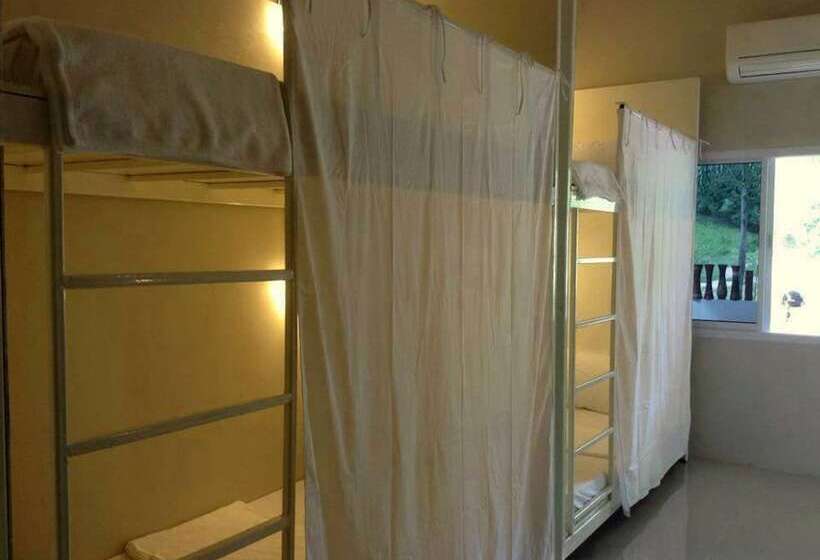 共用房间的床, The Best Hostel