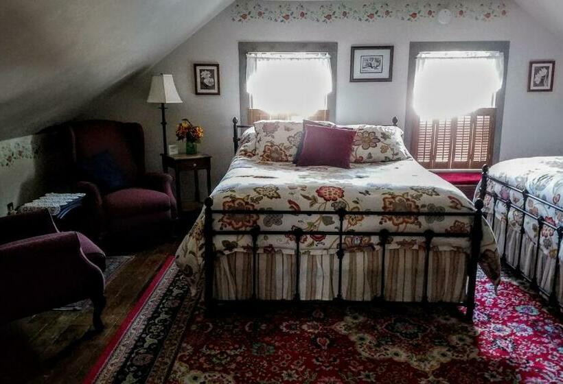 四人标准间, Lilly Pad