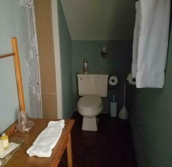 标准间, Lilly Pad