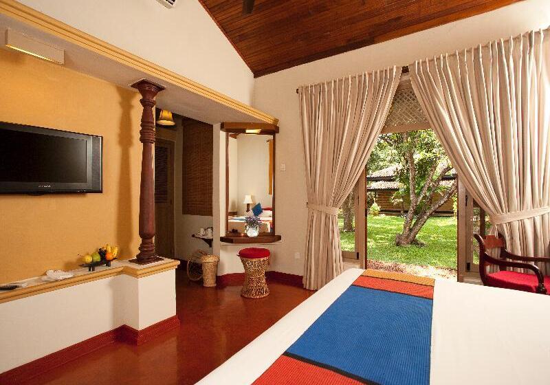 اتاق سوپریور, And Spa Lotus Modern