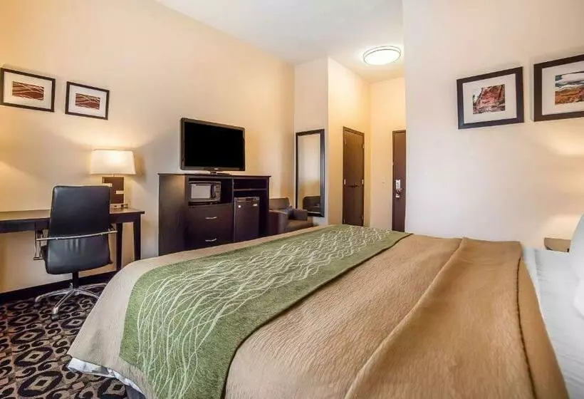 Standard-huone King-vuode, Comfort Inn Ballardroosevelt