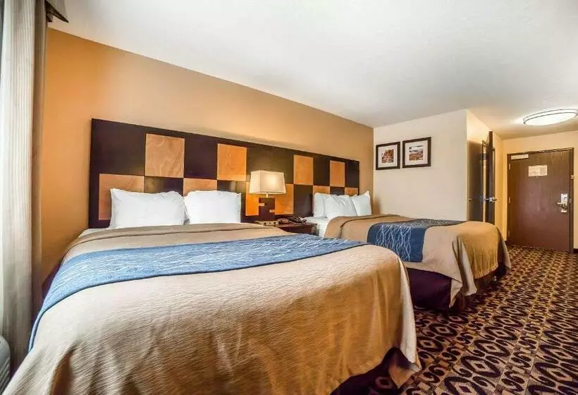 Standard-huone, Comfort Inn Ballardroosevelt