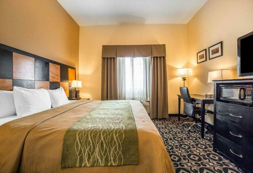غرفة قياسية سرير كينج, Comfort Inn Ballardroosevelt