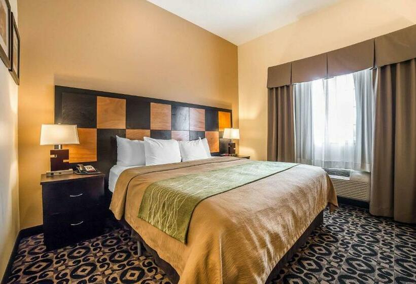 带大床的标准间, Comfort Inn Ballardroosevelt