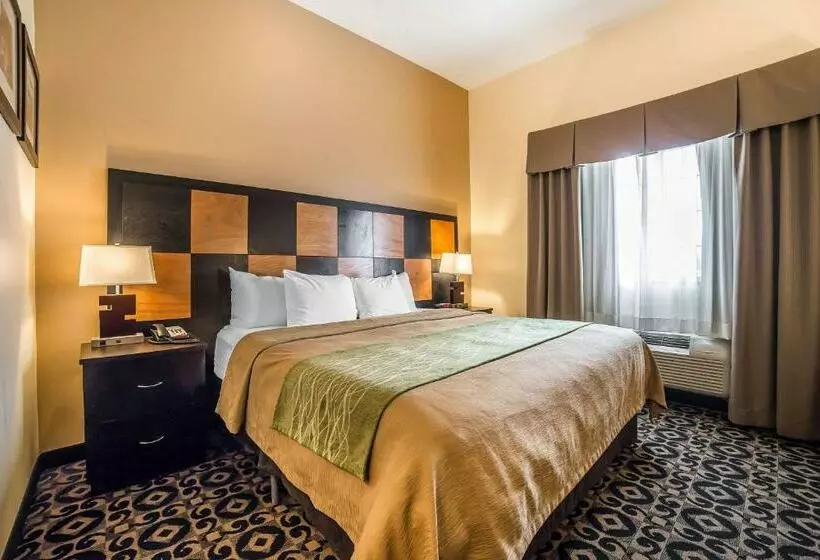 Standard-huone King-vuode, Comfort Inn Ballardroosevelt