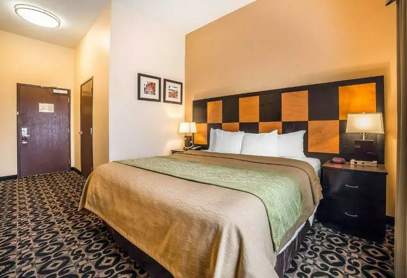 Standard-huone King-vuode, Comfort Inn Ballardroosevelt
