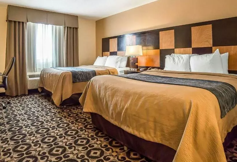 Standard-huone, Comfort Inn Ballardroosevelt