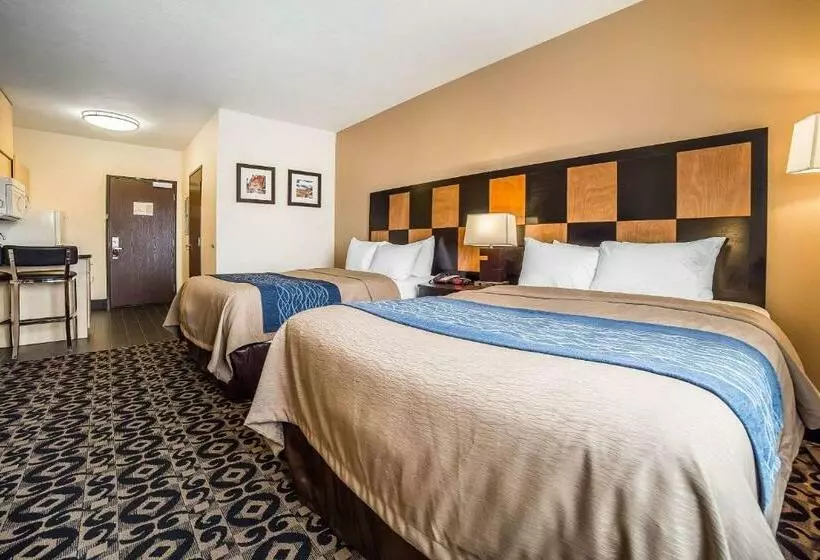 Standard-huone, Comfort Inn Ballardroosevelt