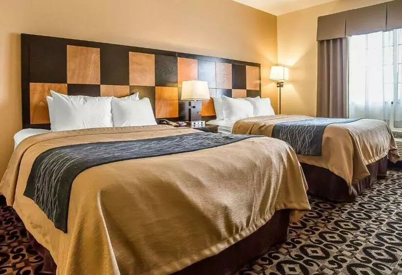 Standard-huone, Comfort Inn Ballardroosevelt