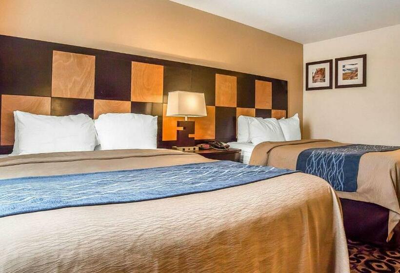 غرفة قياسية, Comfort Inn Ballardroosevelt