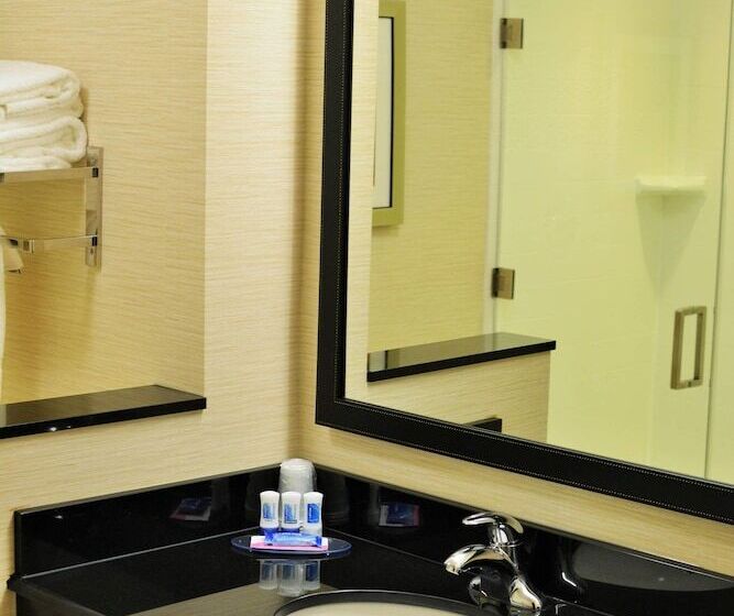 إستوديو قياسى, Fairfield Inn & Suites By Marriott Omaha Northwest