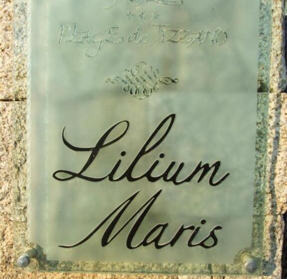 סוויטה, Lilium Maris