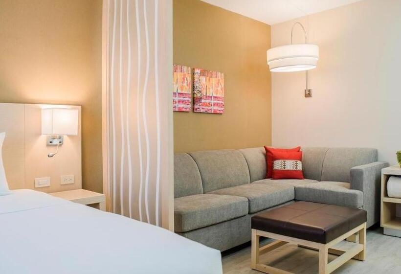 اتاق استاندارد با چشم‌انداز دریاچه, Hyatt Place Managua