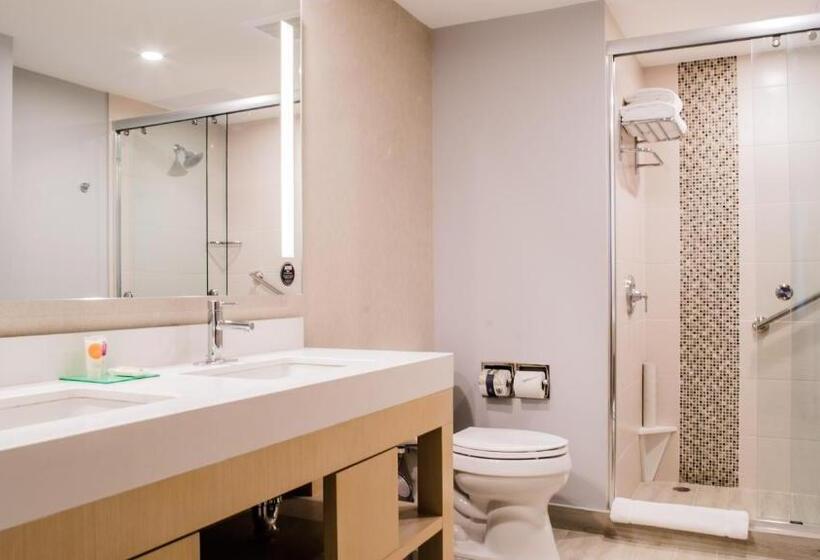 سوئیت با تخت بزرگ, Hyatt Place Managua