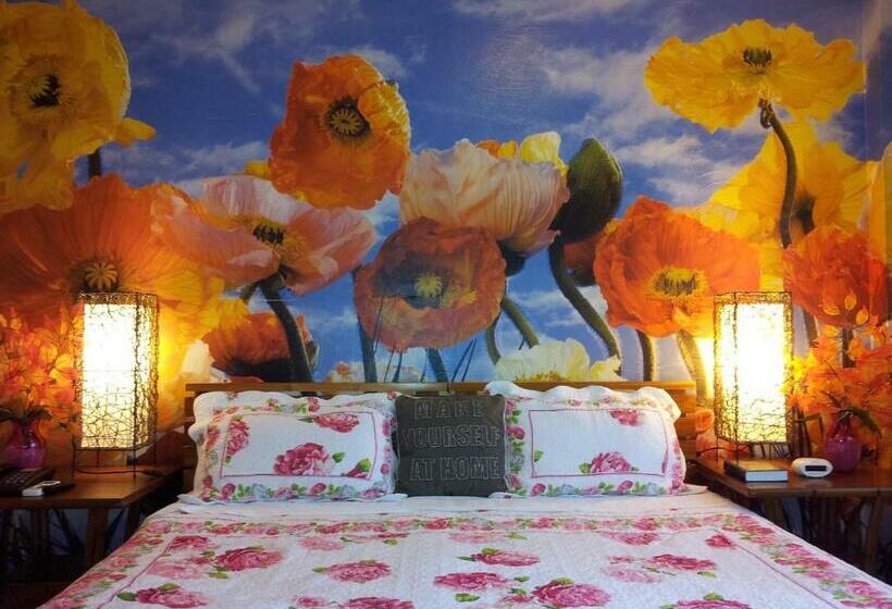 اتاق استاندارد, Little Italy