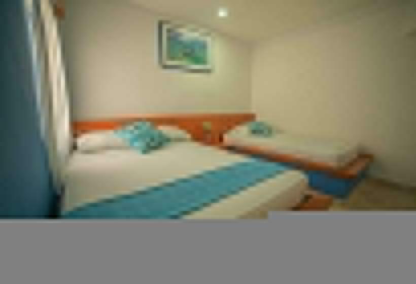 スタンダードルーム, Techos Azules