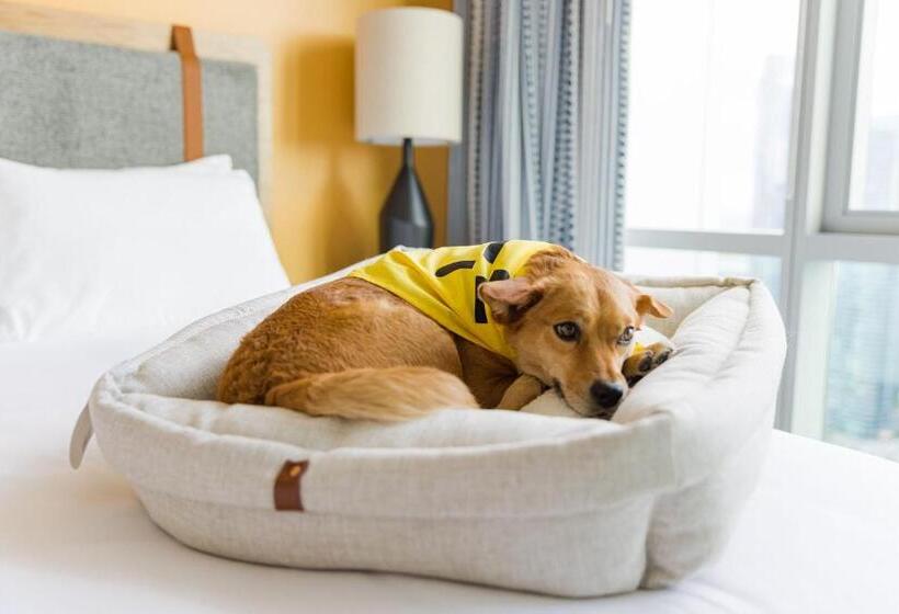 Appartement met 1 Slaapkamer, Sentral East Austin At 1630 E Sixth