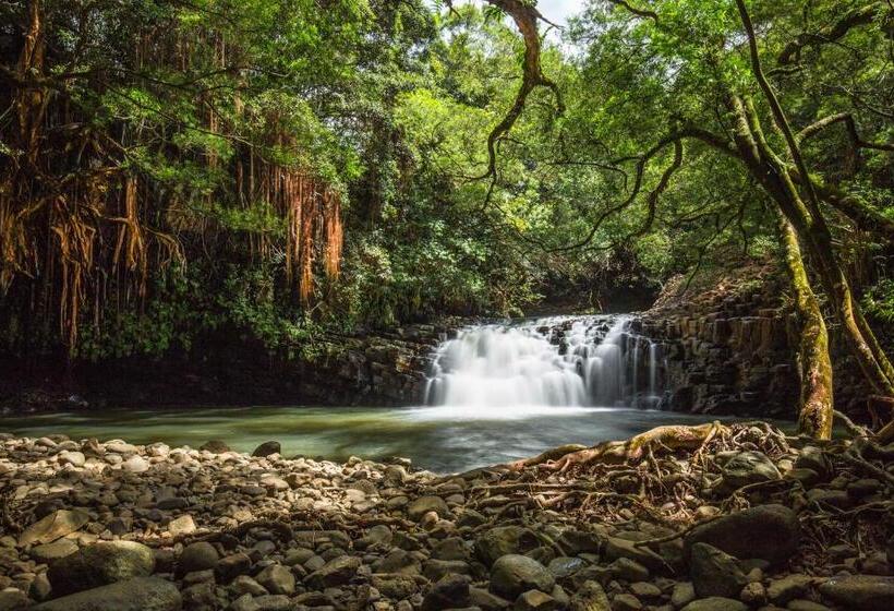 בית, 2 חדרי שינה, Maui Vista Condo 2410