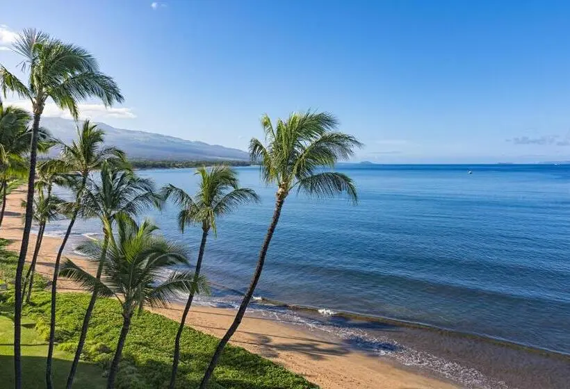 ２ベッドルームハウス, Maui Vista Condo 2410